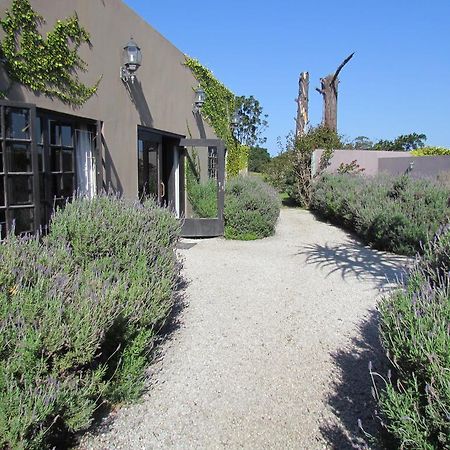 Plett River Lodge Plettenberg Bay Esterno foto