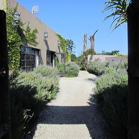 Plett River Lodge Plettenberg Bay Esterno foto