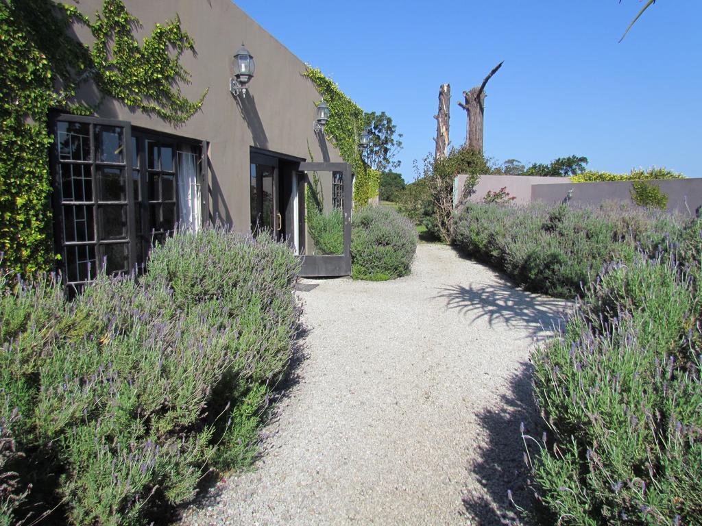 Plett River Lodge Plettenberg Bay Esterno foto