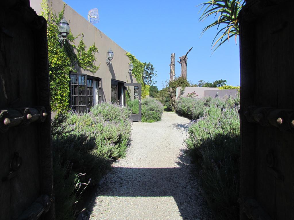 Plett River Lodge Plettenberg Bay Esterno foto